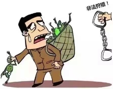 如何理解非法狩猎罪中的“禁用的工具、方法”?