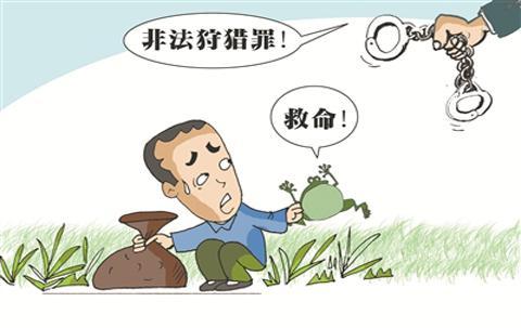 非法狩猎罪中的“禁猎区”是指什么?