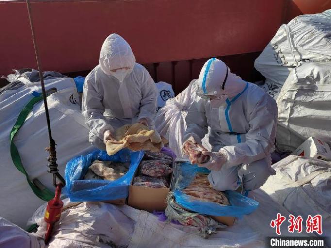 福州海警查获走私冻品300余吨