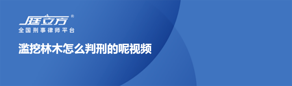 滥挖林木怎么判刑的呢视频