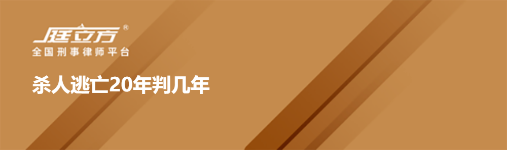 杀人逃亡20年判几年